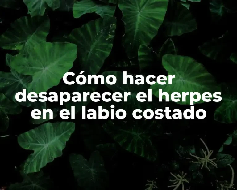 Cómo hacer desaparecer el herpes en el labio costado