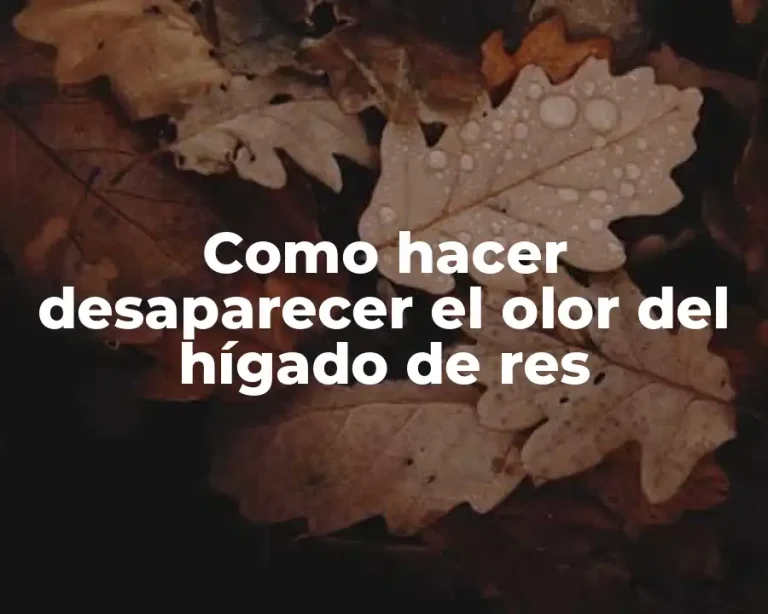 Como hacer desaparecer el olor del hígado de res