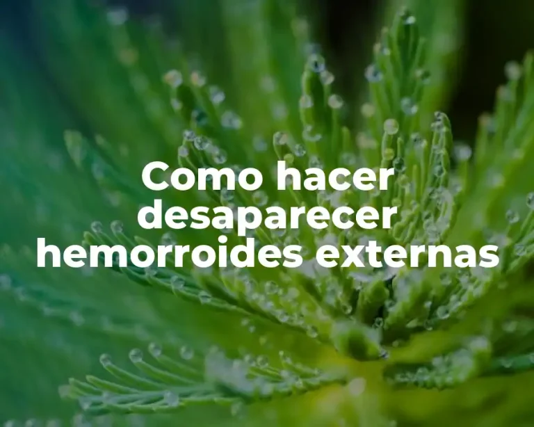 Como hacer desaparecer hemorroides externas