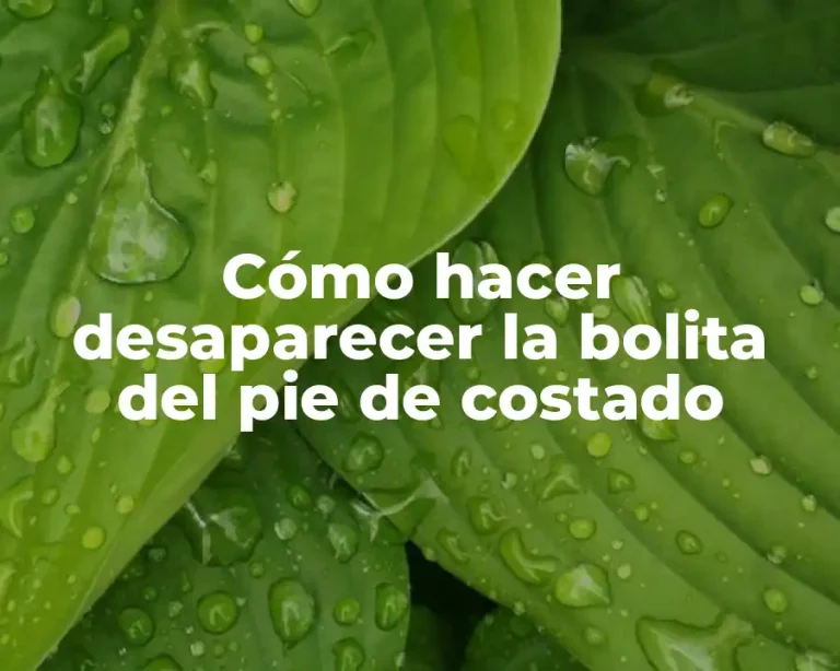 Cómo hacer desaparecer la bolita del pie de costado
