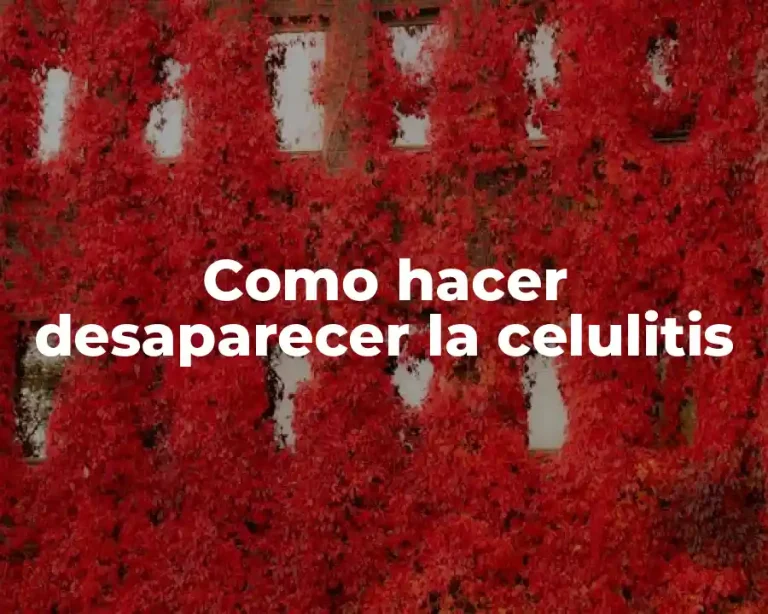 Como hacer desaparecer la celulitis