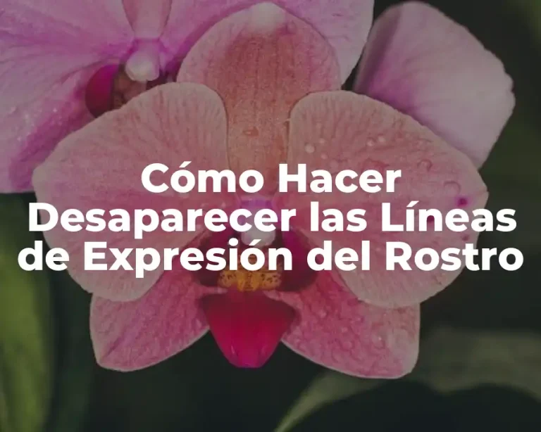 Cómo Hacer Desaparecer las Líneas de Expresión del Rostro