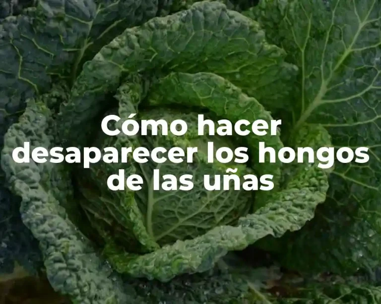 Cómo hacer desaparecer los hongos de las uñas