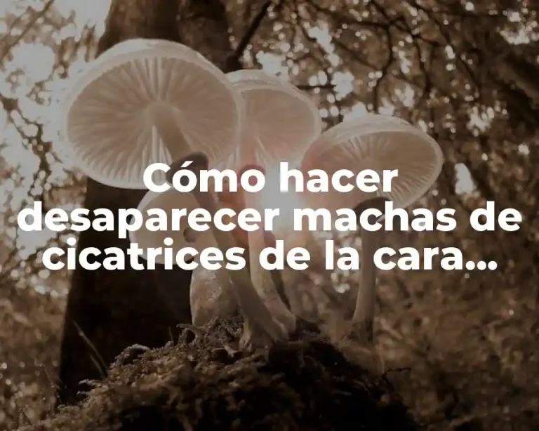 Cómo hacer desaparecer machas de cicatrices de la cara rápido