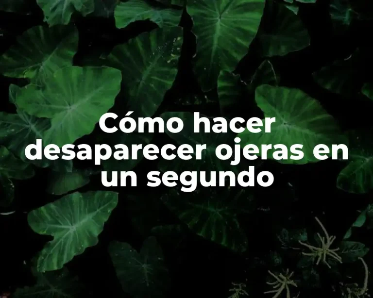 Cómo hacer desaparecer ojeras en un segundo