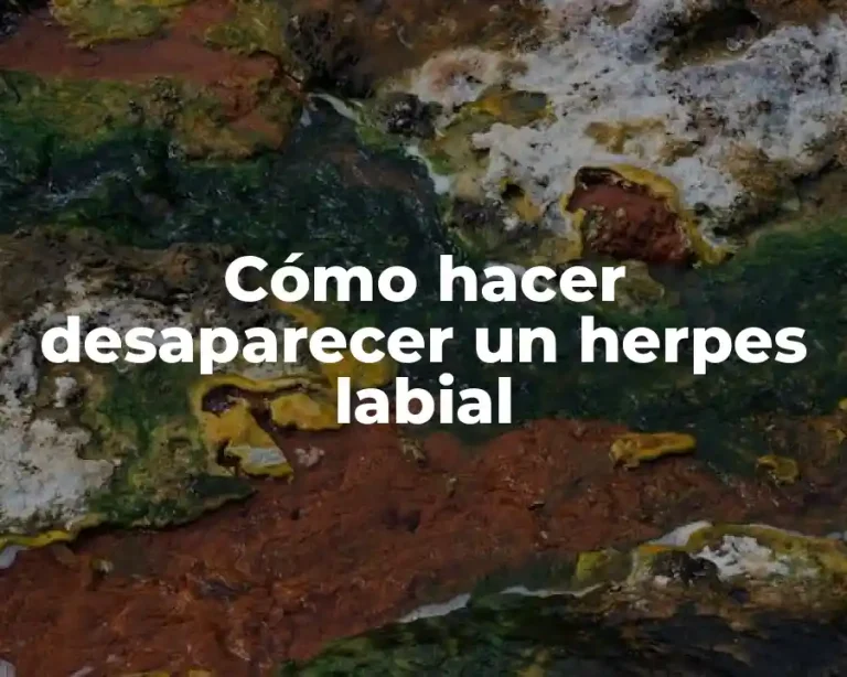 Cómo hacer desaparecer un herpes labial