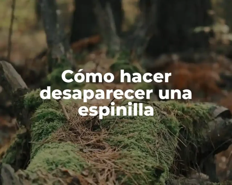 Cómo hacer desaparecer una espinilla