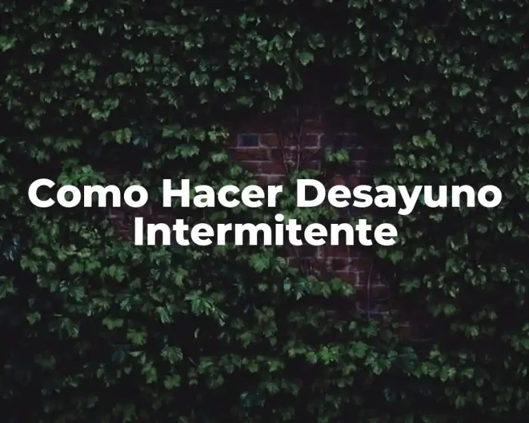 Como Hacer Desayuno Intermitente