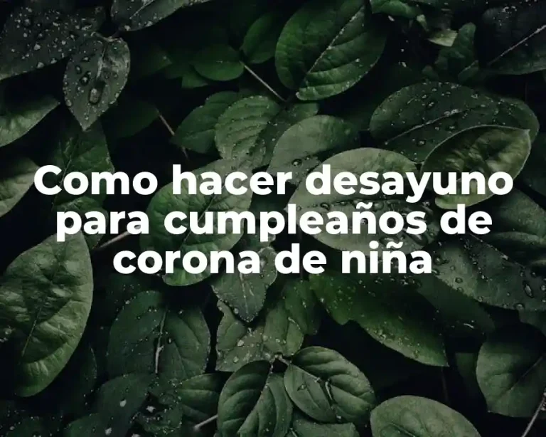 Como hacer desayuno para cumpleaños de corona de niña