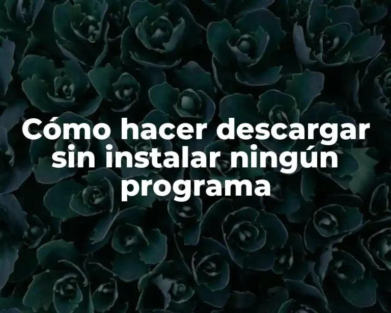 Cómo hacer descargar sin instalar ningún programa