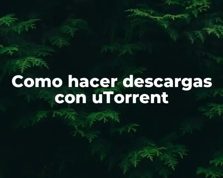 Como hacer descargas con uTorrent