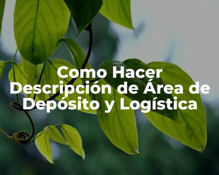 Como Hacer Descripción de Área de Depósito y Logística
