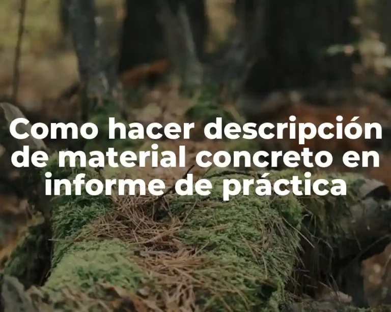 Como hacer descripción de material concreto en informe de práctica