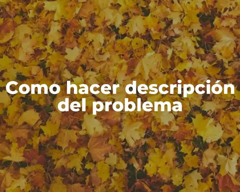 Como hacer descripción del problema