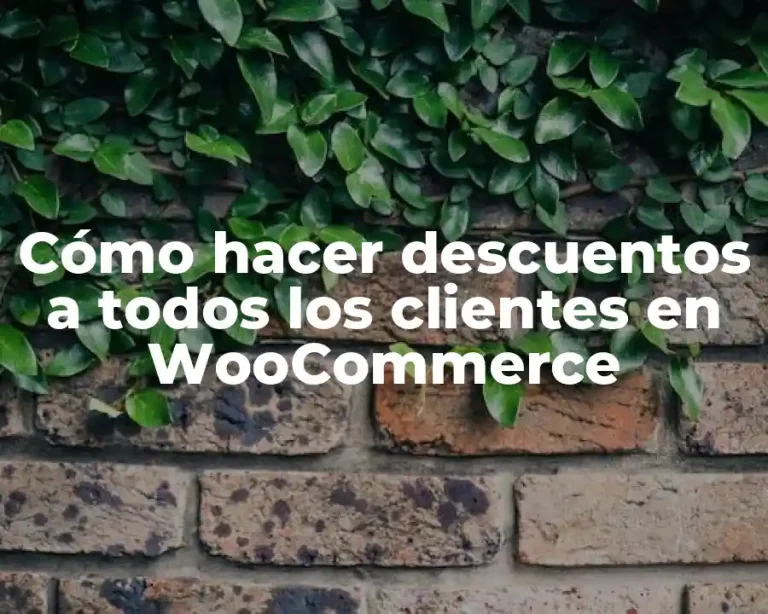 Cómo hacer descuentos a todos los clientes en WooCommerce