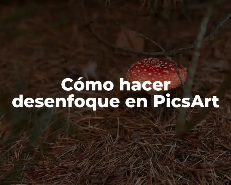 Cómo hacer desenfoque en PicsArt