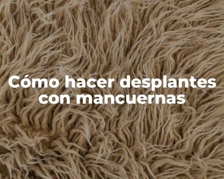 Cómo hacer desplantes con mancuernas