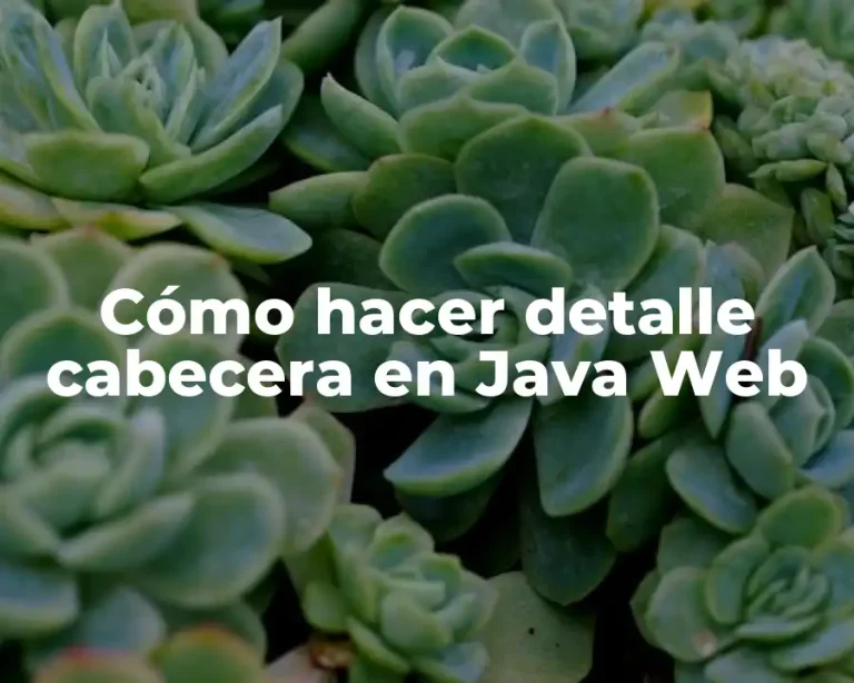 Cómo hacer detalle cabecera en Java Web