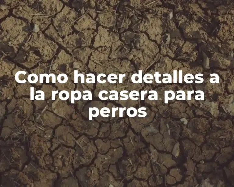 Como hacer detalles a la ropa casera para perros