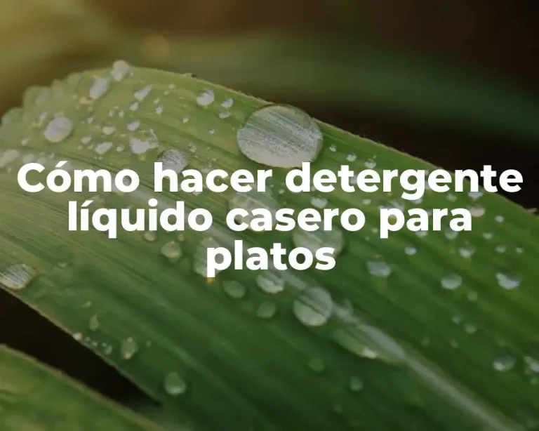 Cómo hacer detergente líquido casero para platos