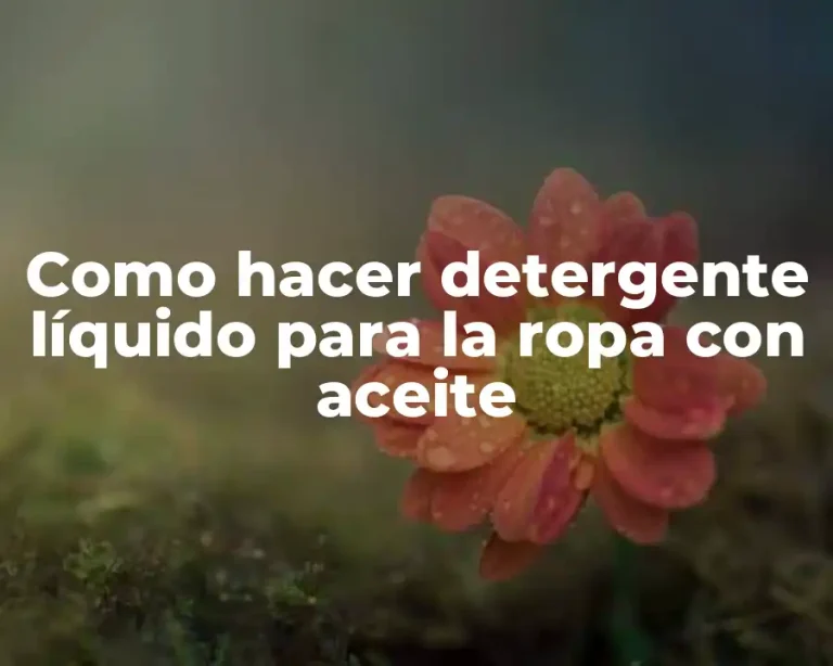 Como hacer detergente líquido para la ropa con aceite