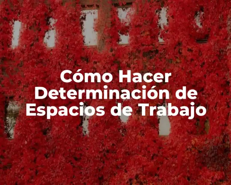 Cómo Hacer Determinación de Espacios de Trabajo