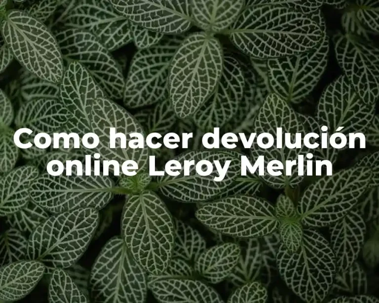 Como hacer devolución online Leroy Merlin