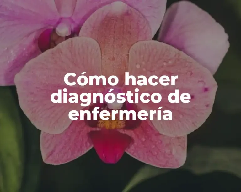 Cómo hacer diagnóstico de enfermería