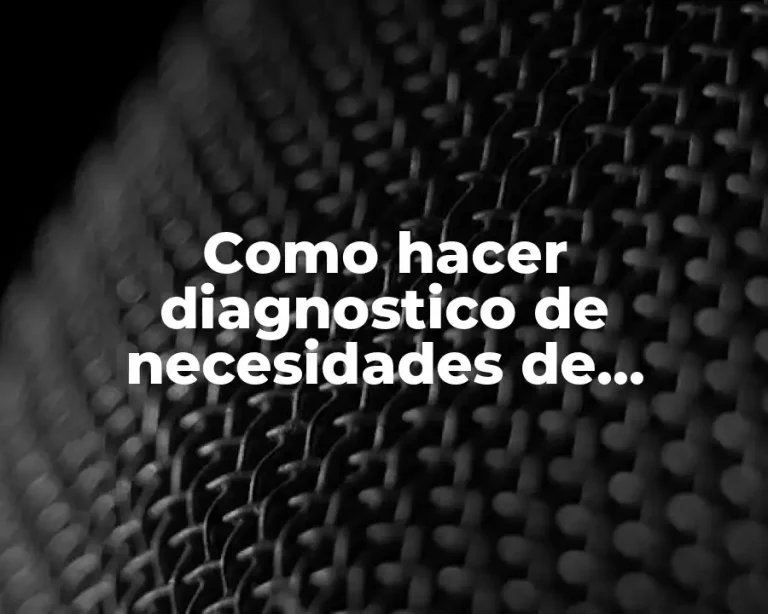 Como hacer diagnostico de necesidades de capacitación Marta Alles