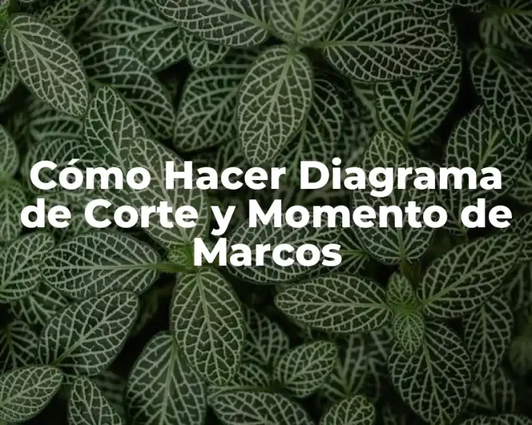 Cómo Hacer Diagrama de Corte y Momento de Marcos