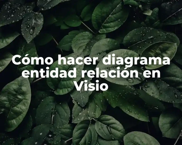 Cómo hacer diagrama entidad relación en Visio