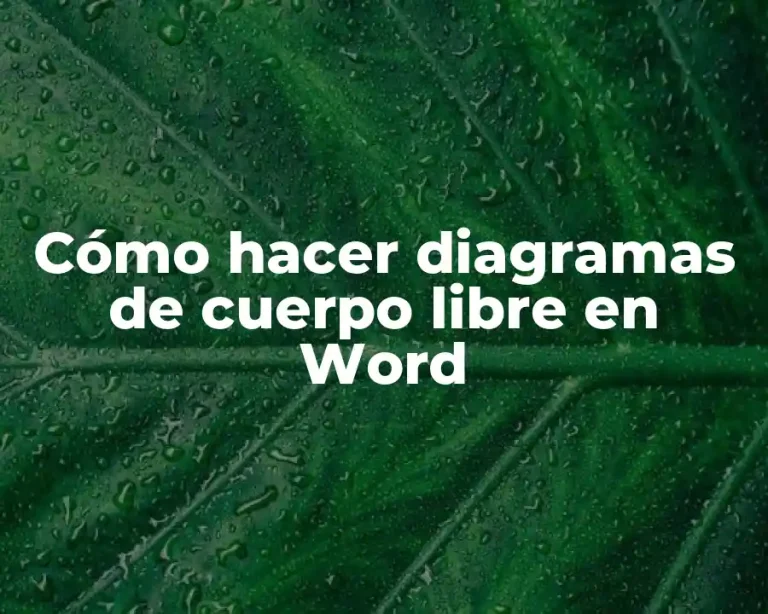 Cómo hacer diagramas de cuerpo libre en Word