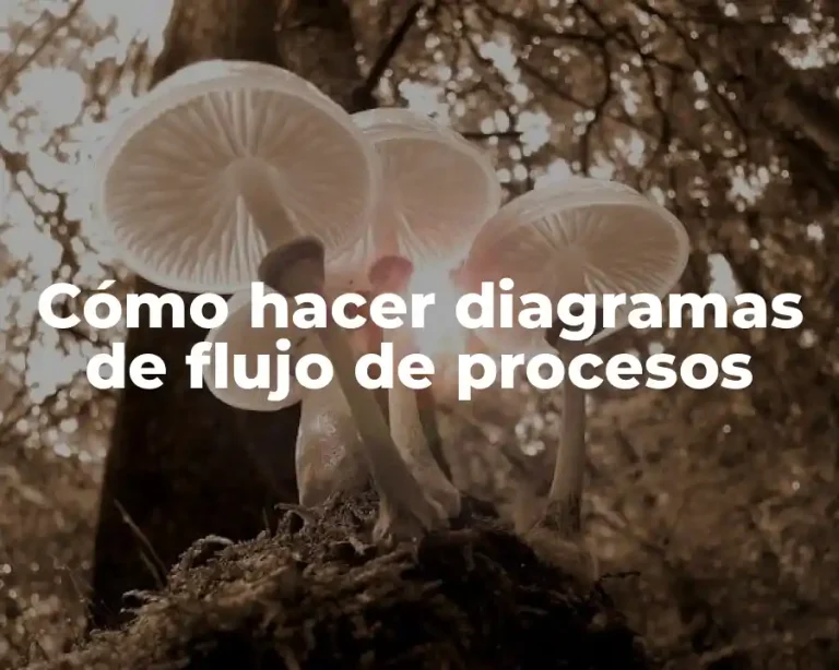 Cómo hacer diagramas de flujo de procesos