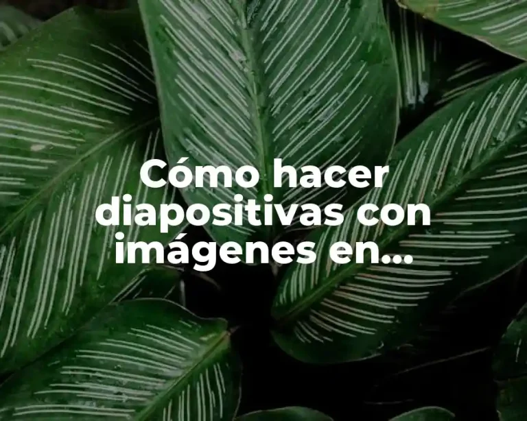 Cómo hacer diapositivas con imágenes en movimiento