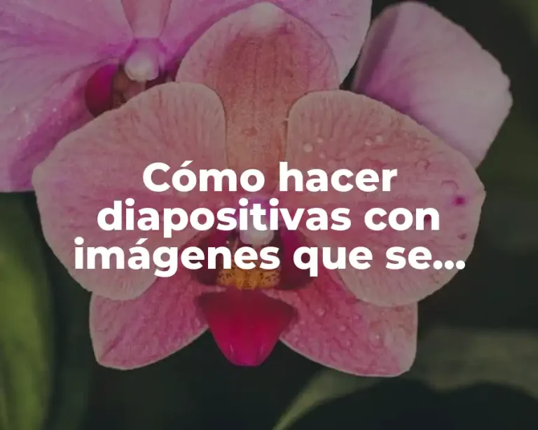 Cómo hacer diapositivas con imágenes que se mueven