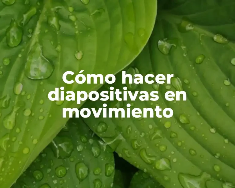 Cómo hacer diapositivas en movimiento