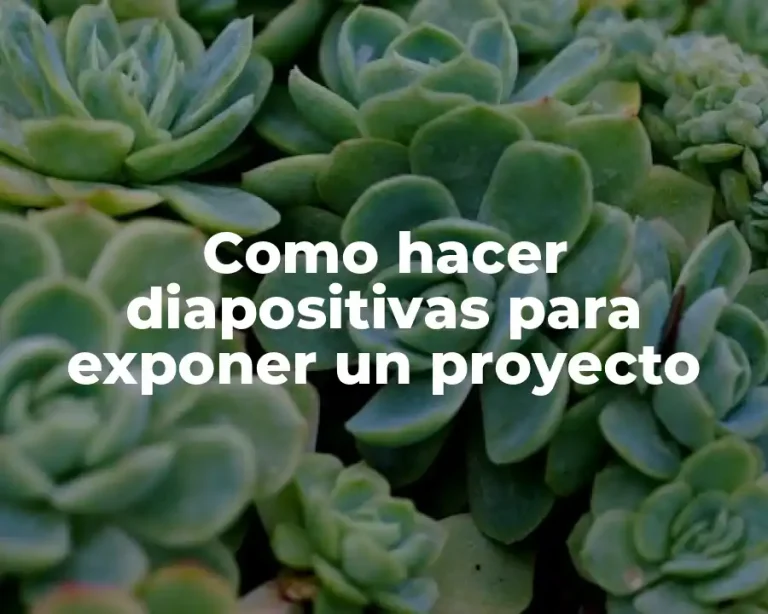 Como hacer diapositivas para exponer un proyecto
