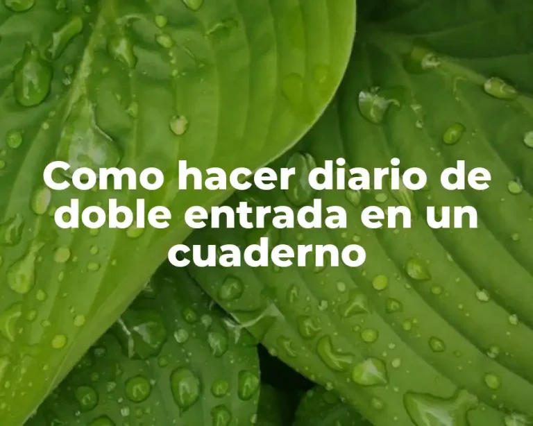 Como hacer diario de doble entrada en un cuaderno