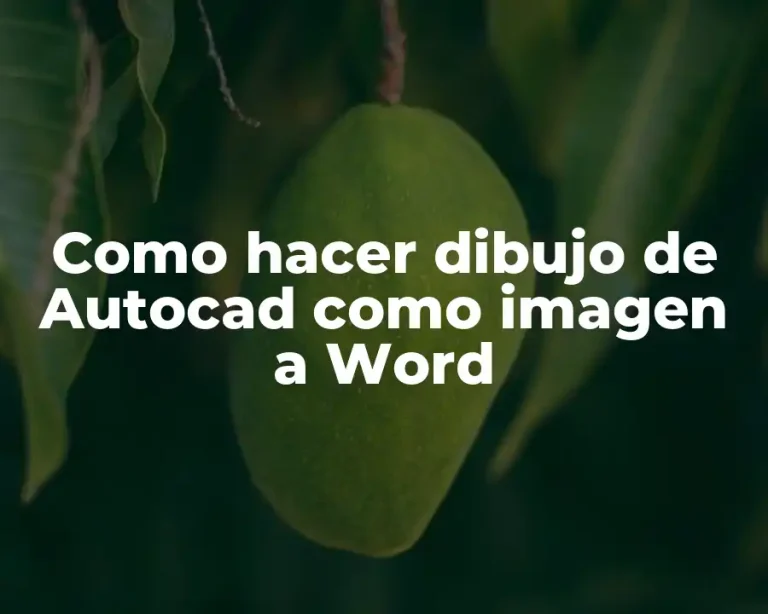 Como hacer dibujo de Autocad como imagen a Word