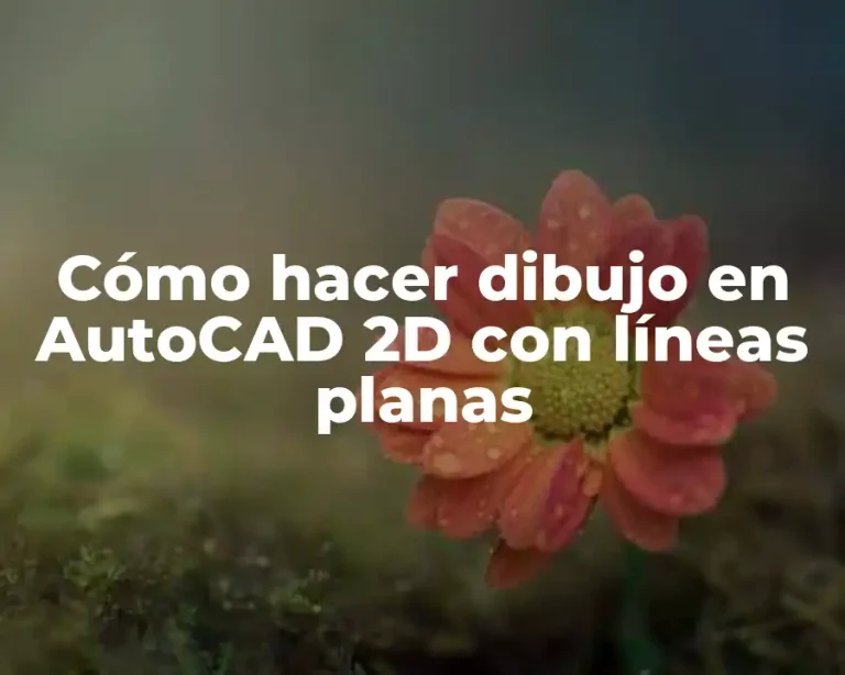 Cómo hacer dibujo en AutoCAD 2D con líneas planas