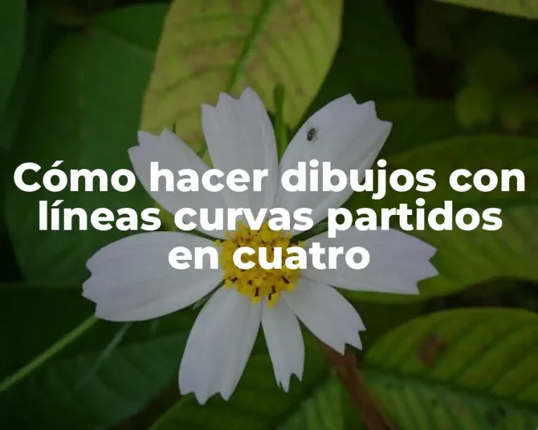 Cómo hacer dibujos con líneas curvas partidos en cuatro