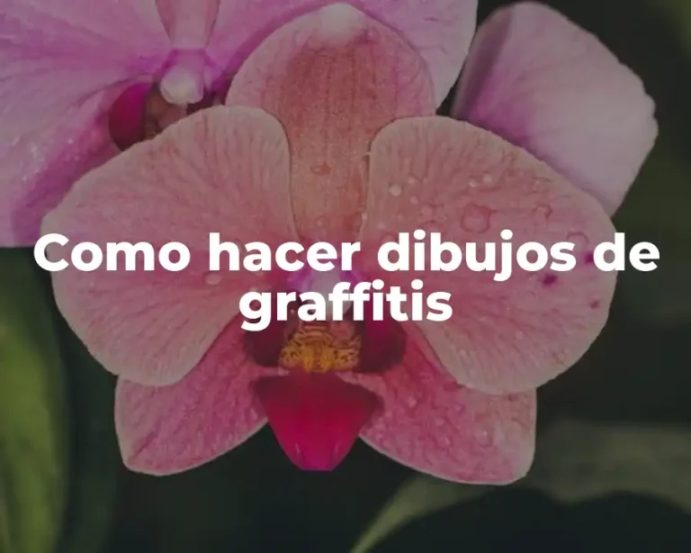 Como hacer dibujos de graffitis