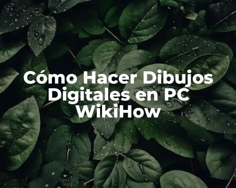 Cómo Hacer Dibujos Digitales en PC WikiHow