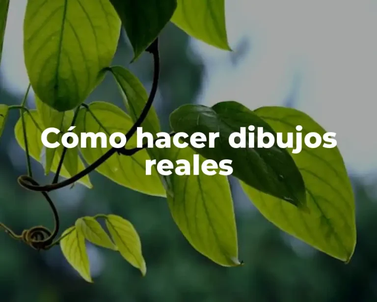 Cómo hacer dibujos reales