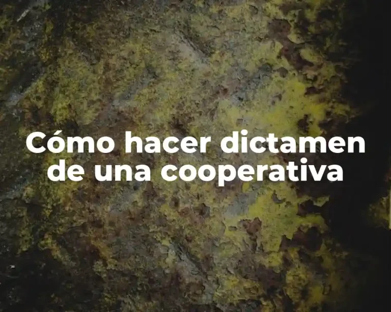 Cómo hacer dictamen de una cooperativa