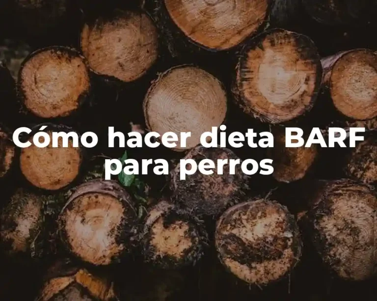 Cómo hacer dieta BARF para perros