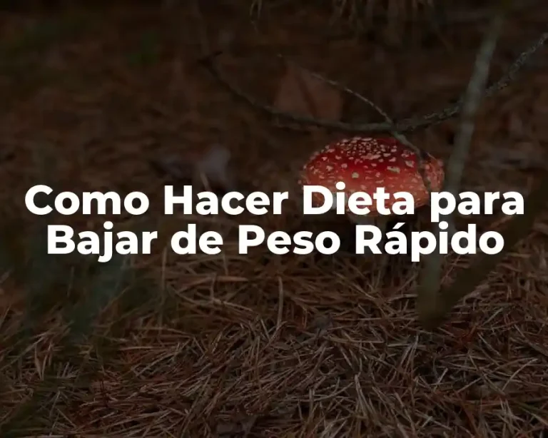 Como Hacer Dieta para Bajar de Peso Rápido