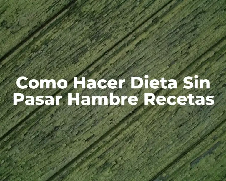 Como Hacer Dieta Sin Pasar Hambre Recetas