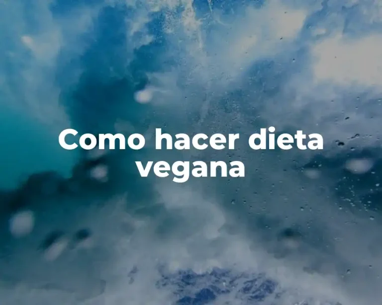 Como hacer dieta vegana