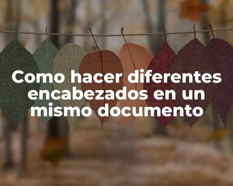 Como hacer diferentes encabezados en un mismo documento